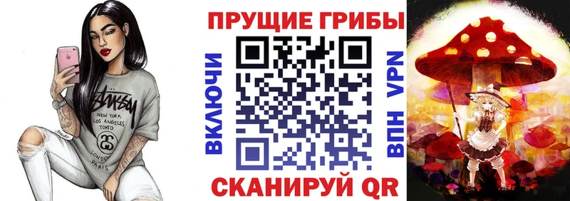 Купить где  Мытищи  Галлюциногенные грибы мицелий 